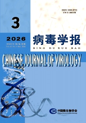 病毒学报封面